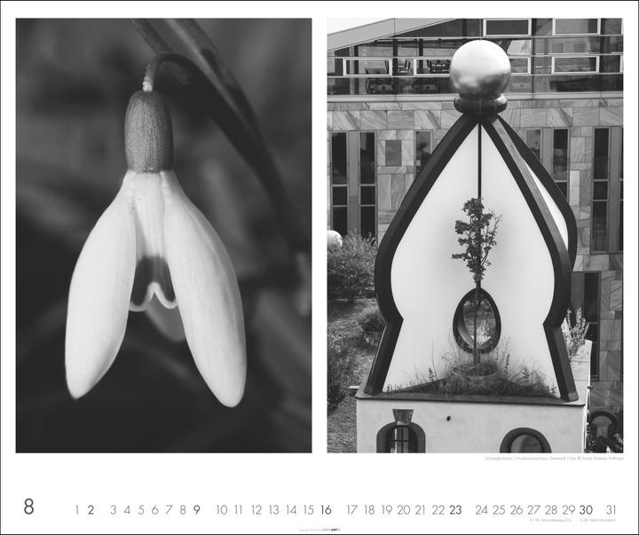 Image du produit Natur : Architektur Kalender 2026 (55 x 46 cm, Allemand)