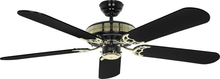 Produktbild CasaFan Black Magic (31 dB)