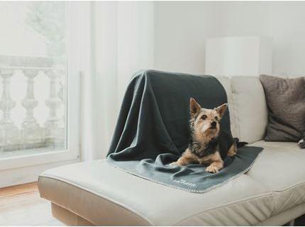 Actual product image Hunter Dog blanket Casper (Dog)