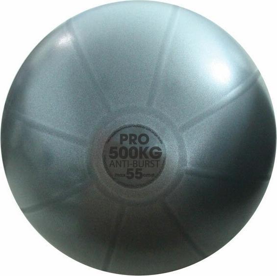 Actual product image Fitness Mad Studio Pro Swiss Ball (55 cm)