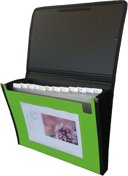 Actual product image Kolma Fan folder A4 superstrong 12 tabs green (A4, 1 x)