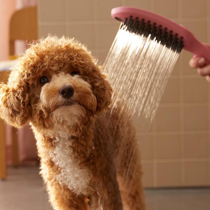 Immagine prodotto hansgrohe DogShower doccia per cani 150 (3 tipi di spray) (3 Tipi di raggi, 7.60 l/min)