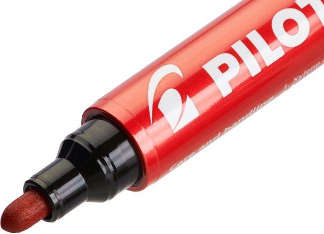 Actual product image Pilot Permanent Marker 100 XL 15+5 Free Black (Black, 4.50 mm, 15 x)