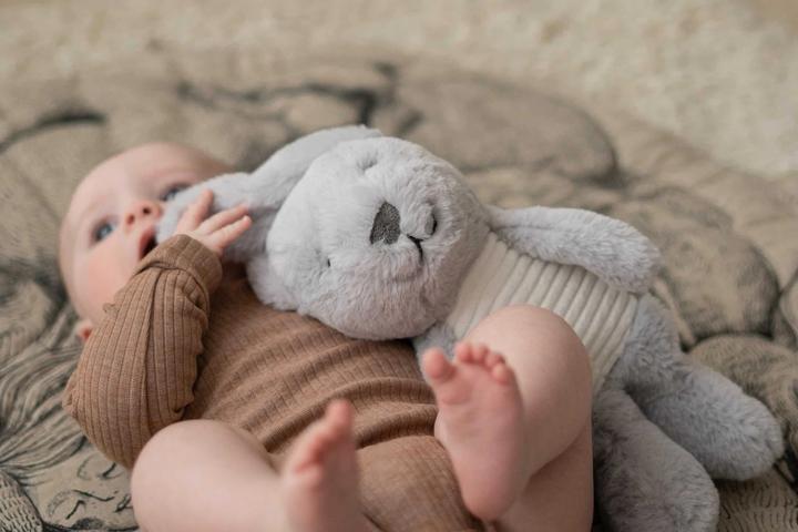 Produktbild Flow Baby Comforter