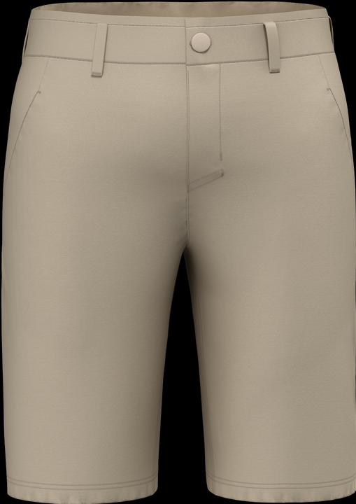 Actual product image Salewa Fanes Light Shorts (L)