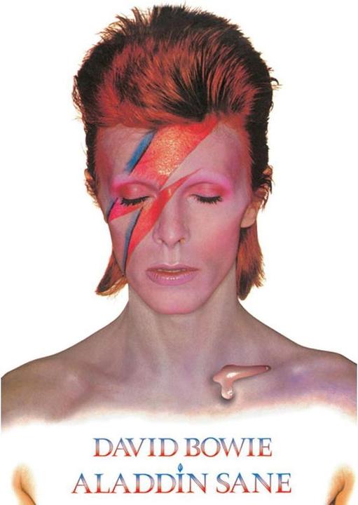 Actual product image David Bowie Poster Aladdin Sane (61 x 91 cm)