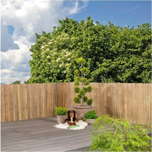 Immagine prodotto Windhager Mitake (300 cm)