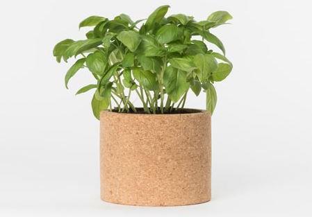 Actual product image Jamei Grow Cork Pot Basil (Herb seeds)
