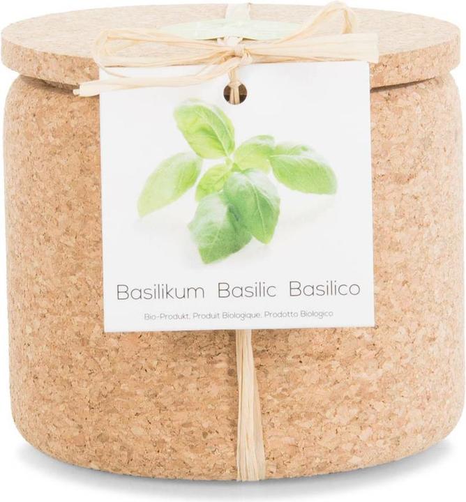 Jamei Grow Cork Pot Basilikum (Kräutersamen)
