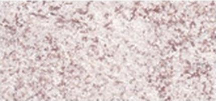 Immagine prodotto Dermacol Metallo 3D (2 Champagne)