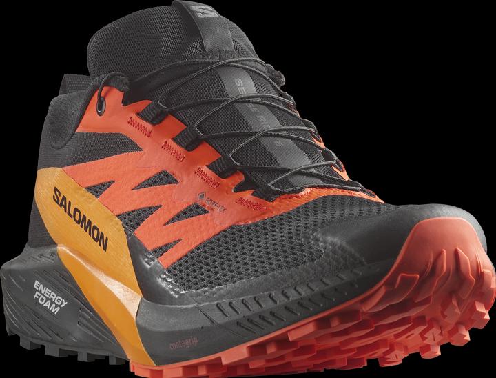 Image du produit Salomon Sense Ride 5 GTX Chaussures de trail running pour hommes (45)