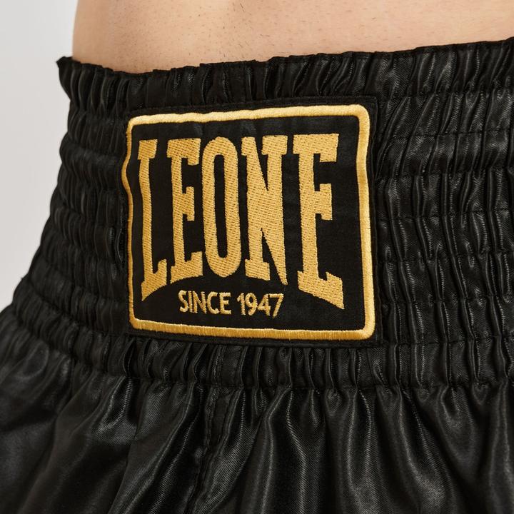 Produktbild Leone Basic 2 (L)