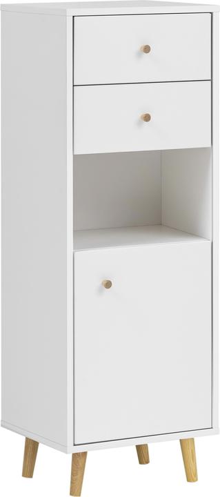 Schildmeyer Bjarne (40.5 x 33 x 113.5 cm)