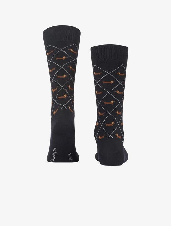 Image du produit Burlington Dackel Hund (Une unité par pack, 40 - 46)