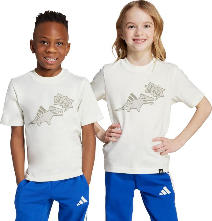 Actual product image adidas Kids Adiraptor Graphic (122)