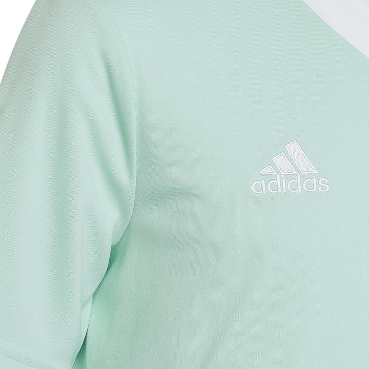 Image du produit adidas Maillot Entrada 22 (116)