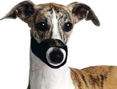 Image du produit Karlie Muselière (XS, Chien, Promenade)