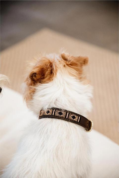 Produktbild Kentucky Dogwear Hundehalsband Handgemacht Pearls (L, Hund)