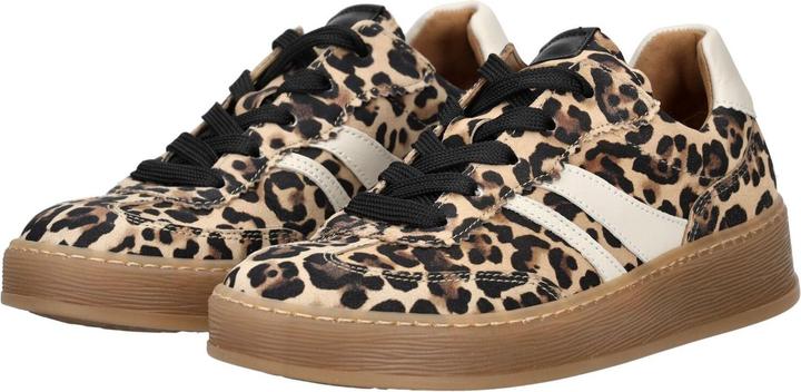 Image du produit Gabor Sneaker (37)