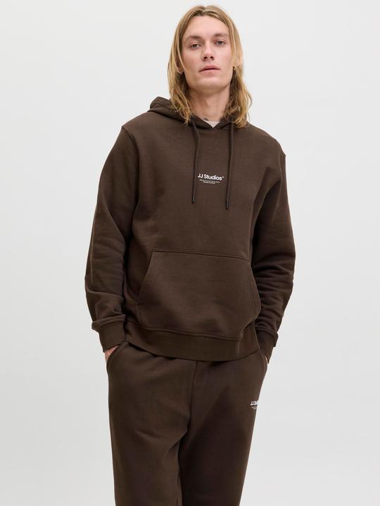 Actual product image Jack & Jones Jjesoho Sweat Hood Noos (M)
