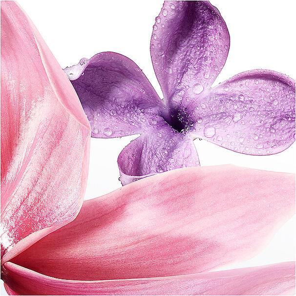 Actual product image Issey Miyake A Drop d'Issey (Eau de parfum, 50 ml)
