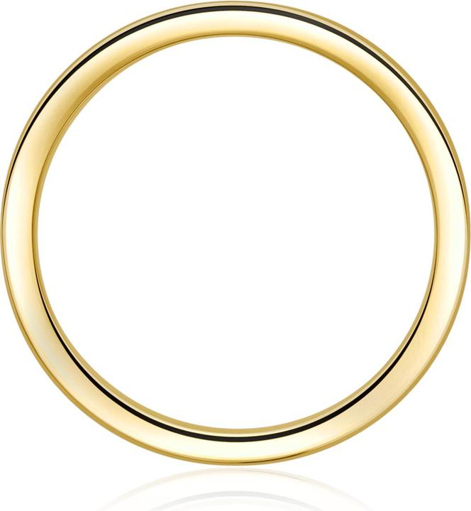 Immagine prodotto Rafaela Donata Donna Argento Argento Giallo Oro - 15242 (58, 925 Argento)