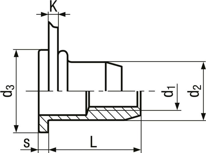 Produktbild Werkstarck Blindnietmuttern Flachkopf BN1971 TUBTARA®