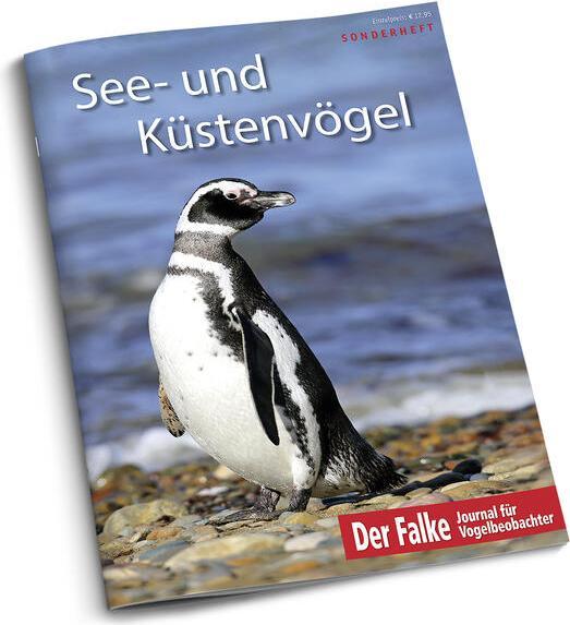 Immagine prodotto Aula See- und Küstenvögel (Tedesco, Redazione The Falcon, 2023)