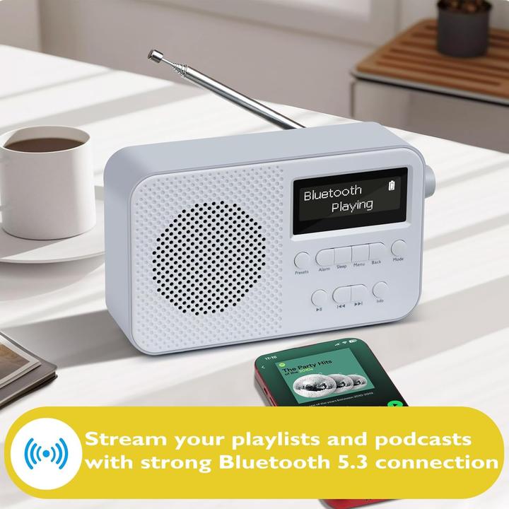 Image du produit Lemega PR2-Max - Kompaktes DAB-Radio mit Bluetooth (DAB+ DAB, Bluetooth)