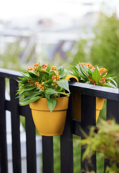 Produktbild Elho Vibia Campana Flower Twin (210 cm)