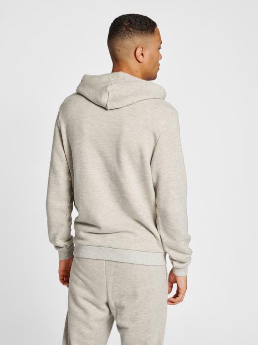 Actual product image hummel Lgc Austin Hoodie (XXL)