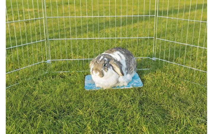 Produktbild Trixie Kühlplatte für Meerschweinchen