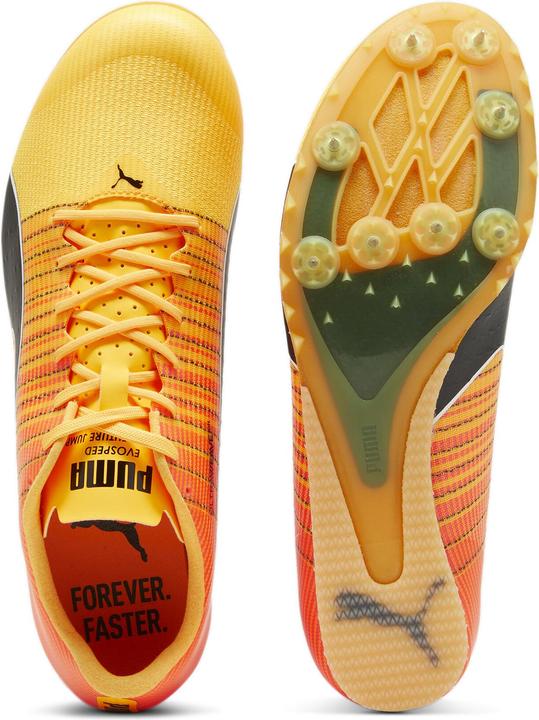 Produktbild Puma evoSPEED FUTURE JUMP 6 (47)