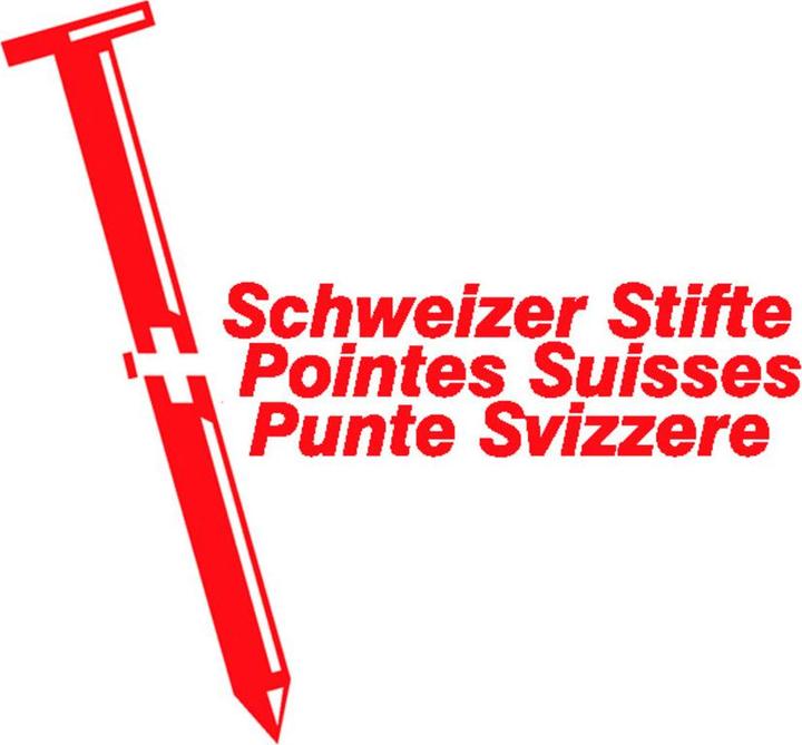 Produktbild Schweizerische Nagelfabrik Stifte mit Flachkopf (1 Stück, 45 mm)