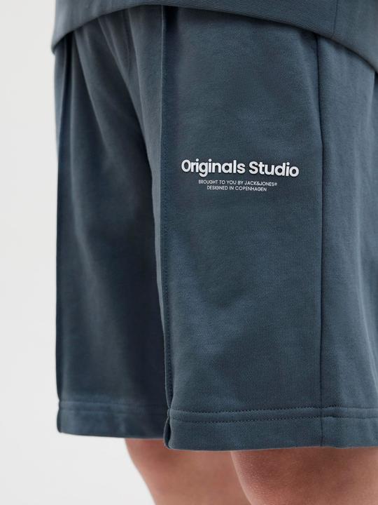 Actual product image Jack & Jones Jpstvesterbro Sweat Shorts Gms Sn Jnr (152)