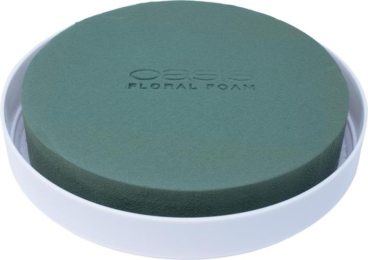 Image du produit Oasis Venezia Coupe