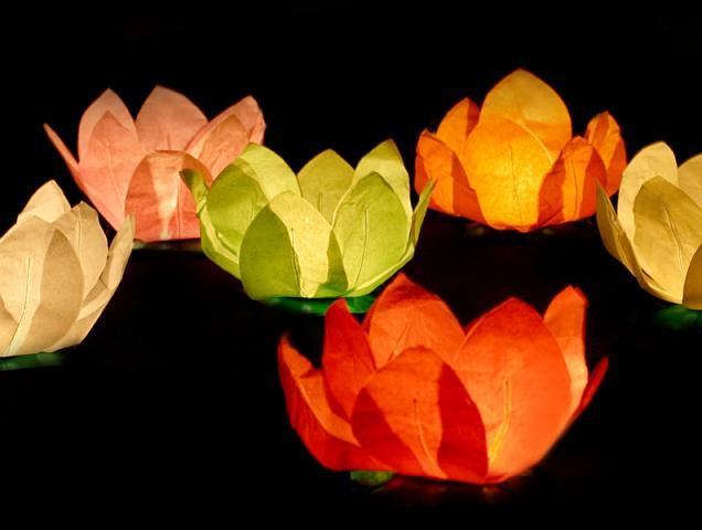 Actual product image Partydeco Floating Water Lanterns Lotus Flowers