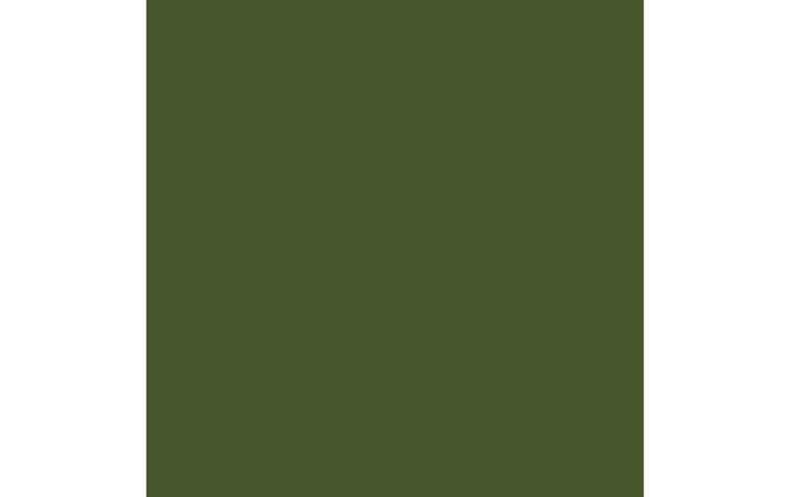 Productafbeelding Amsterdam Standaard serie acrylverf (Olijfgroen donker, 120 ml)