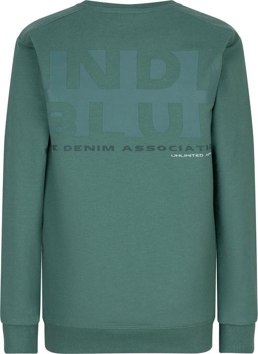 Actual product image Indian Blue Jeans Washed jumper (140)