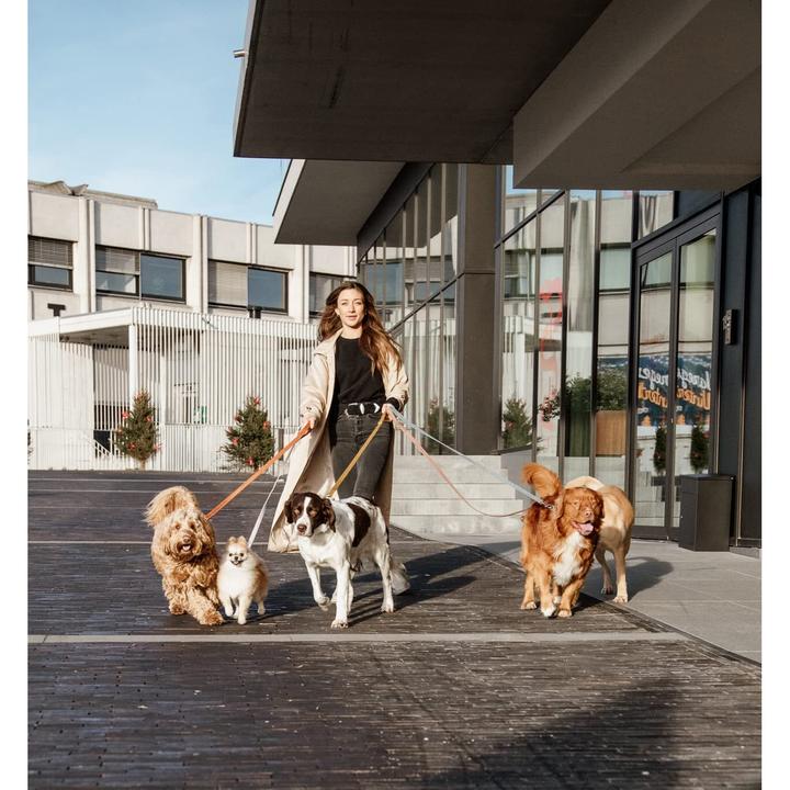Produktbild Kentucky Dogwear Hundeleine Velvet (L, Hund, Hundesport)
