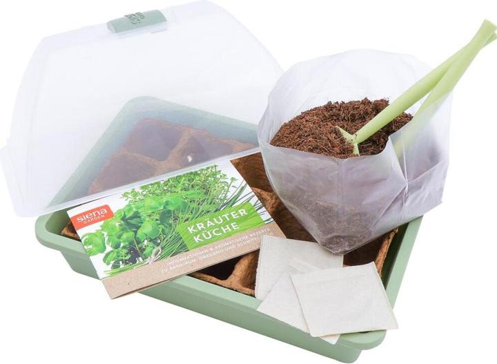 Actual product image Siena Garden Propagator
