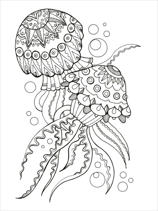 Produktbild Mandala-Tier