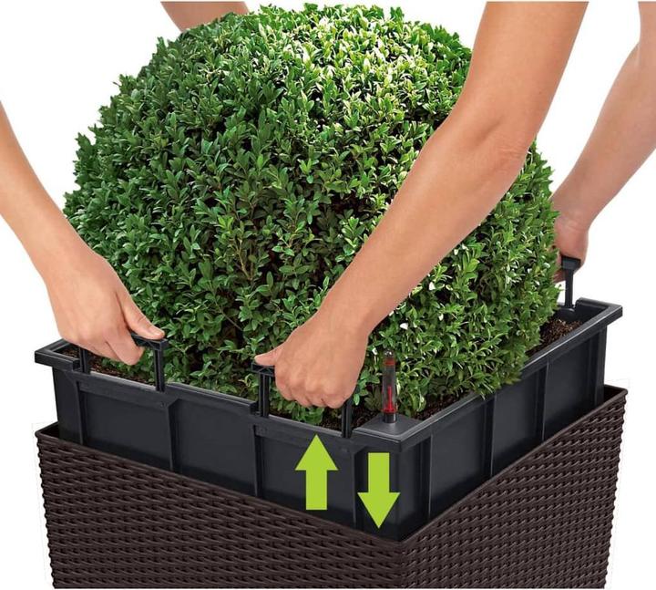 Actual product image Lechuza Cube Cottage (49 cm)