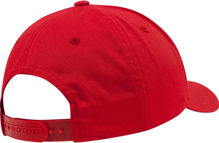 Actual product image Flexfit Snapback (One size)