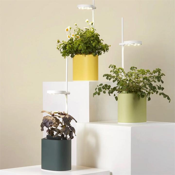Immagine prodotto Prêt à Pousser Herb Pot Nano, verde foresta (13.50 cm)