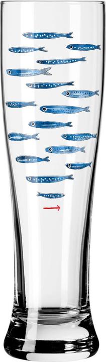 möwe - fisch