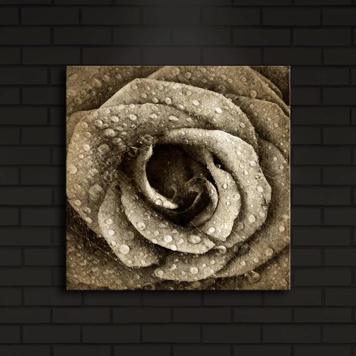Produktbild Wallxpert Isabela (40 x 40 cm)