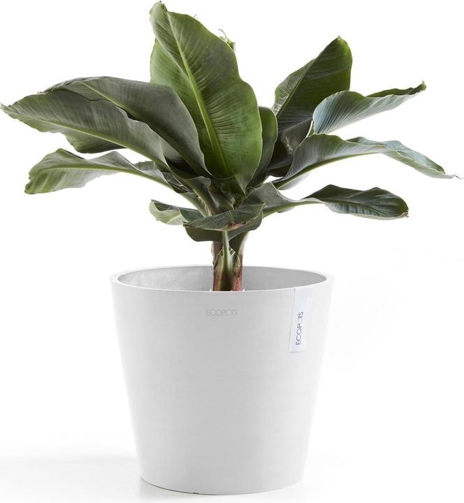 Produktbild Ecopots Amsterdam (40 cm)