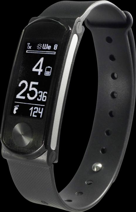 swisstone SW 360 HR (44.80 mm)