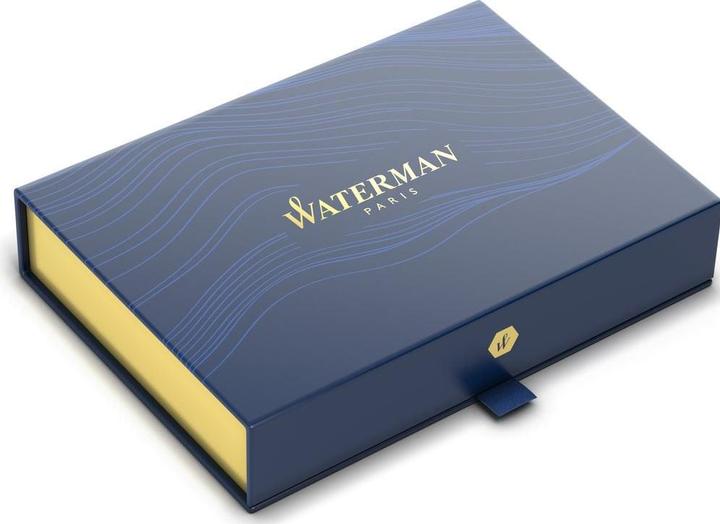 Actual product image Waterman Fountain pen (1 x)